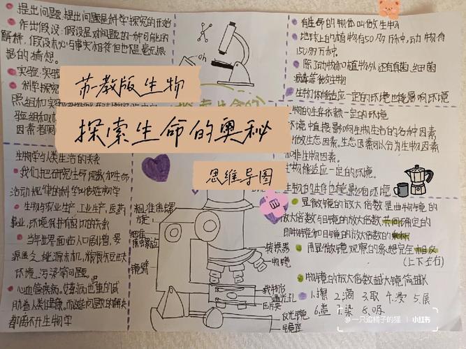 B 的外部形象有多少种?深入探究这个数字背后的奥秘