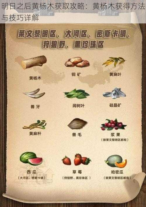 明日之后黄杨木获取攻略:黄杨木获得方法与技巧详解