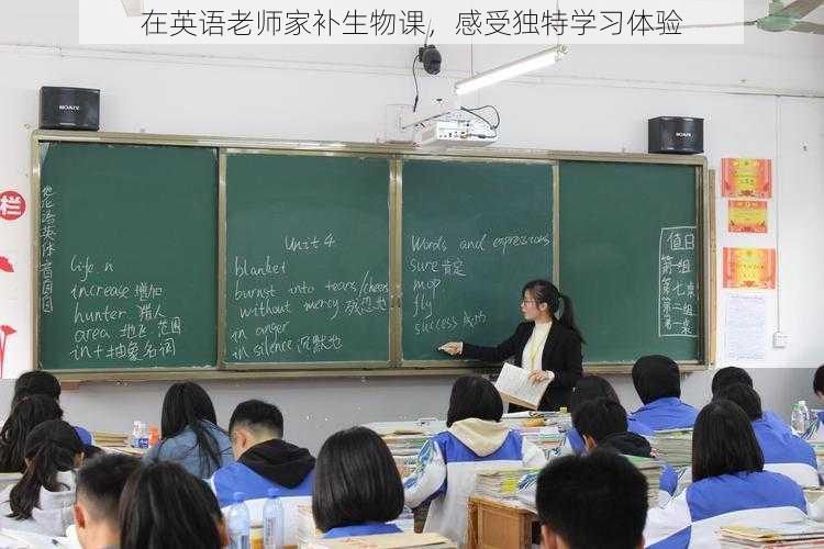 在英语老师家补生物课,感受独特学习体验