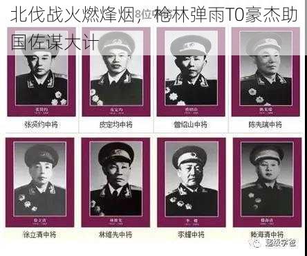 北伐战火燃烽烟,枪林弹雨T0豪杰助国佐谋大计