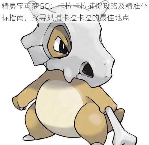 精灵宝可梦GO:卡拉卡拉捕捉攻略及精准坐标指南,探寻抓捕卡拉卡拉的最佳地点