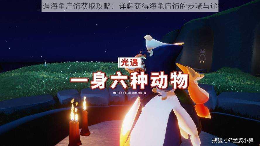 光遇海龟肩饰获取攻略:详解获得海龟肩饰的步骤与途径