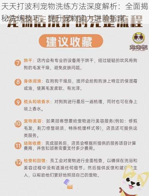 天天打波利宠物洗练方法深度解析:全面揭秘洗练技巧,提升宠物实力进阶指南