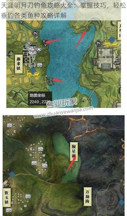 天涯明月刀钓鱼攻略大全:掌握技巧,轻松垂钓各类鱼种攻略详解