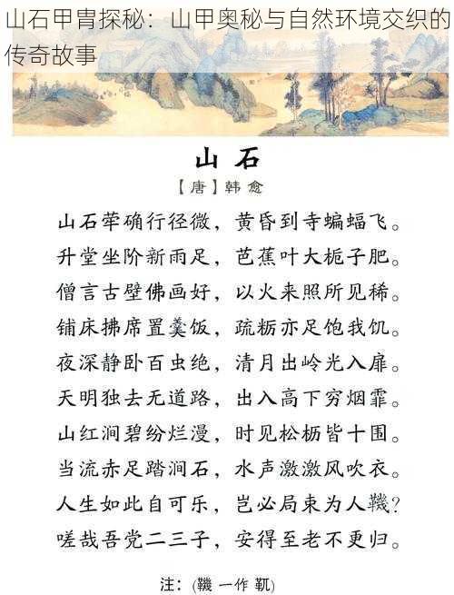山石甲胄探秘:山甲奥秘与自然环境交织的传奇故事
