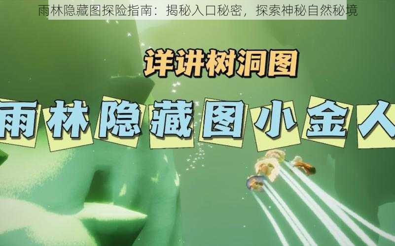 雨林隐藏图探险指南:揭秘入口秘密,探索神秘自然秘境