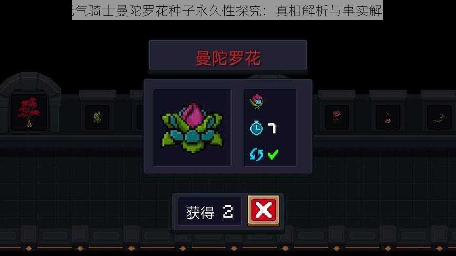 元气骑士曼陀罗花种子永久性探究:真相解析与事实解读