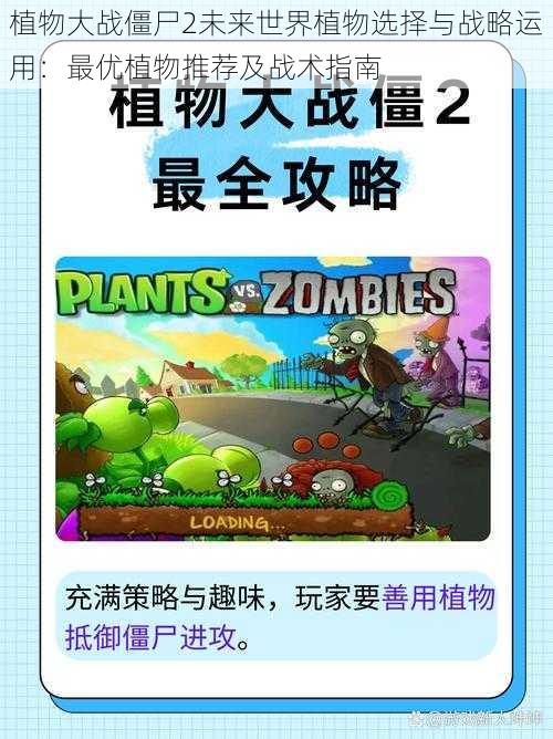 植物大战僵尸2未来世界植物选择与战略运用:最优植物推荐及战术指南